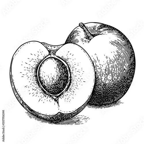 Engraved vector illustration of a halved fruit with a whole counterpart showcasing intricate details in a timeless design