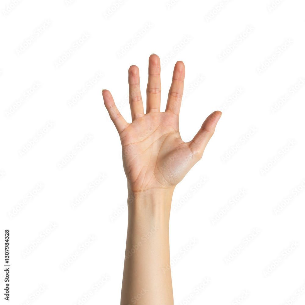 rising hand on transparent background, PNG, male hand cutout rising hand on transparent background, PNG, male hand cutout