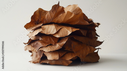 Group of tightly packed dry leaves stacked on a white backdrop creates a textured, organic contrast in a minimalist setting.