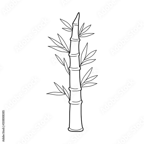 bamboo isolated on white background