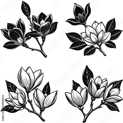 Vector magnolia flower set silhouette