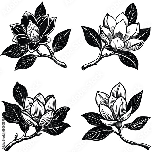 Vector magnolia flower set silhouette