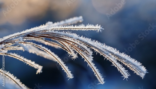 long thin frost crystals on plant branches macro photography