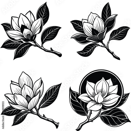 Vector magnolia flower set silhouette