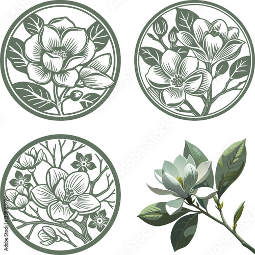 Vector magnolia flower set silhouette
