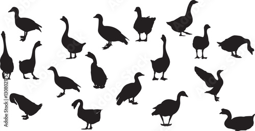 Set of ducks silhouettes in different poses