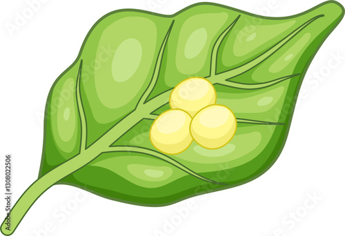 Egg of butterfly illustration 