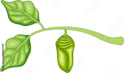 Green Cocoon on tree branch vector illustration by hand drawn 