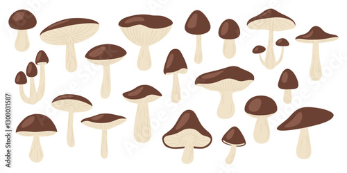 Wild Brown Cap Mushrooms Vector Set. Flat Color Hand Drawn Forest Fungi Collection. Porcini, Bay Bolete, Birch Bolete, King Mushroom Icon Set. Foraging, Cooking, Mycology, Botanical Illustration