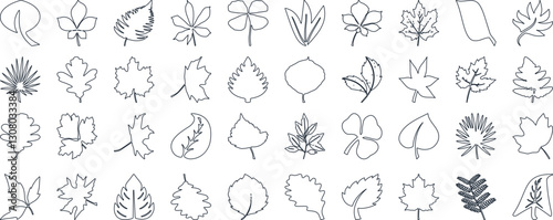 Leaf silhouettes, vector collection, diverse leaves shapes, nature elements. Ideal for eco friendly brand aesthetics, botanical illustrations, educational materials, artistic designs