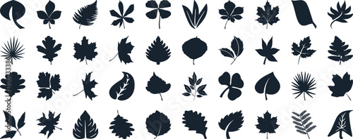 Leaf silhouettes, vector collection, diverse leaves shapes, nature elements. Ideal for eco friendly brand aesthetics, botanical illustrations, educational materials, artistic designs