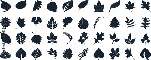 Leaf silhouettes, vector collection, diverse leaves shapes, nature elements. Ideal for eco friendly brand aesthetics, botanical illustrations, educational materials, artistic designs