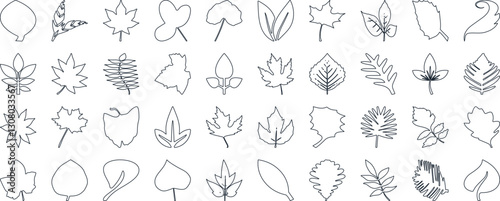 Leaf silhouettes, vector collection, diverse leaves shapes, nature elements. Ideal for eco friendly brand aesthetics, botanical illustrations, educational materials, artistic designs