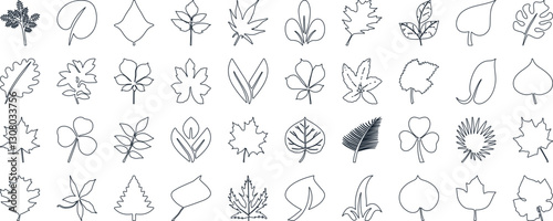 Leaf silhouettes, vector collection, diverse leaves shapes, nature elements. Ideal for eco friendly brand aesthetics, botanical illustrations, educational materials, artistic designs
