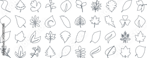 Leaf silhouettes, vector collection, diverse leaves shapes, nature elements. Ideal for eco friendly brand aesthetics, botanical illustrations, educational materials, artistic designs