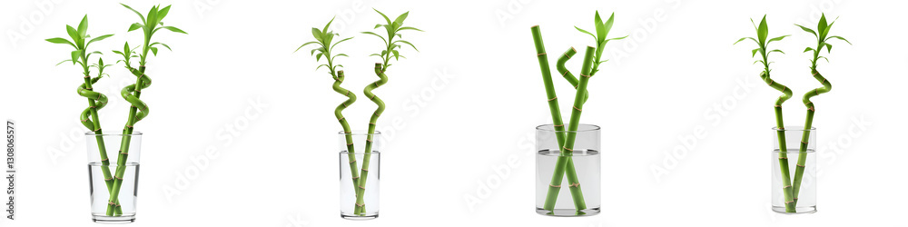 Fototapeta premium Lucky Bamboo Icon – Two Curved Stalks in Water Representing Feng Shui and Growth