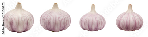 Garlic Bulb – 3D Round Garlic Bulb with Clove Details for Food and Culinary Ingredient Concept