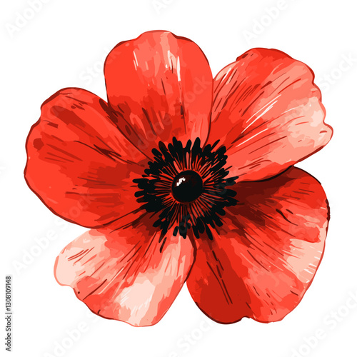 Red flower illustration poppy art vector