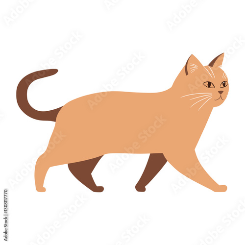 British shorthair cat walking illustration minimalist design vector