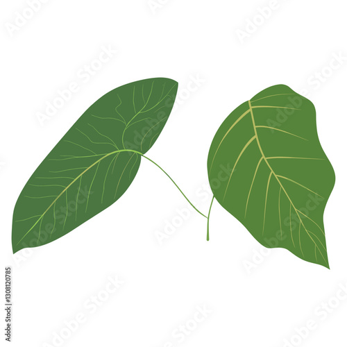 Tropical leaves leaf illustration design vector