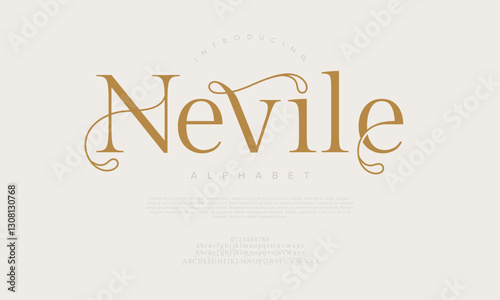 Nevile legant Font Uppercase Lowercase And Number. Classic Lettering Minimal Fashion Designs. Typography modern serif fonts regular decorative vintage concept. vector illustration