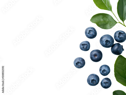 Discover the Nutritional Power of Blueberries: Sweet, Vibrant Fruits Packed with Antioxidants for Health and Culinary Delights