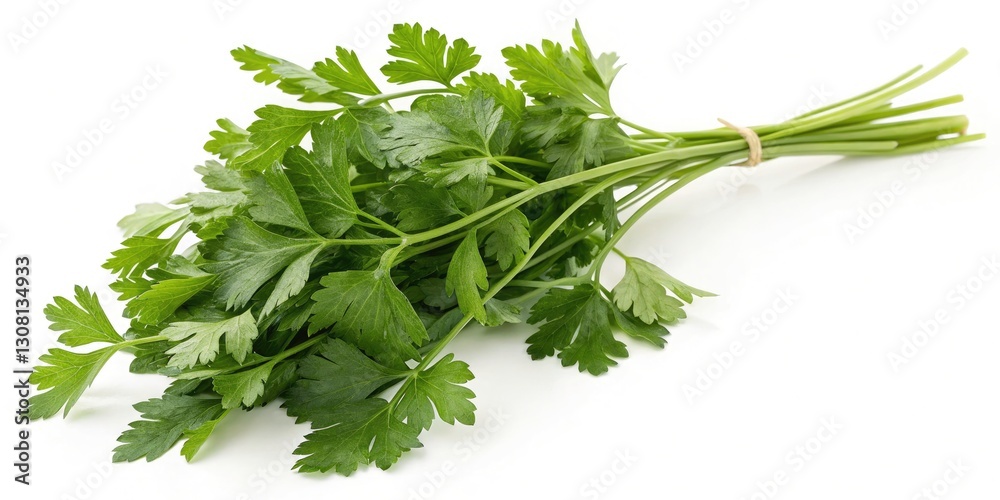 Fresh Parsley Close-Up, Herb Photography, Culinary Greens, Food Image, Parsley Florets, Green Herbs, Cooking Ingredient Fresh Parsley Close-Up, Herb Photography, Culinary Greens, Food Image, Parsley Florets, Green Herbs, Cooking Ingredient