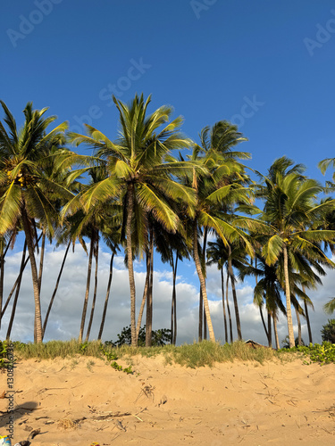 Wallpaper Mural palm trees on the beach Torontodigital.ca