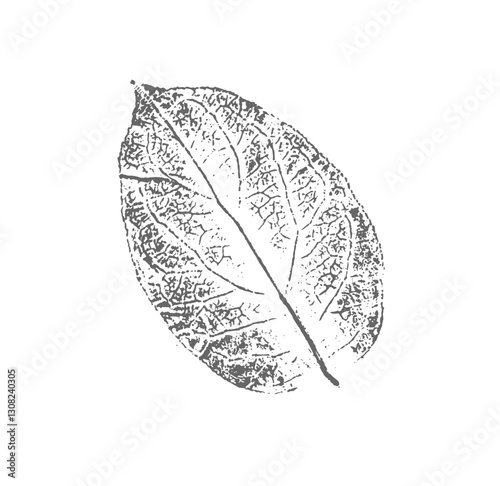 Gray and white leaf print stamp of botanical leaves and stem. Plain leaf sketched art background.
