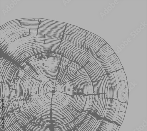 Gray white stamp impression of end grain of wood slab. Tree rings ripples art with texture and cracked surface.