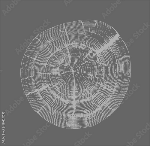 Gray white stamp impression of end grain of wood slab. Tree rings ripples art with texture and cracked surface.