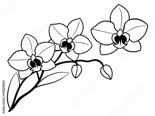 Orchid flowers with branch Vector silhouette illustration isolated on a white background. Black silhouette of orchid flowers. Vector illustration. Orchid branch silhouette vector for design