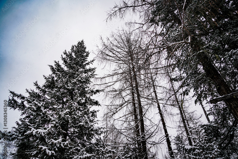 the atmosphere of the snow mountain with dramatic tone the atmosphere of the snow mountain with dramatic tone