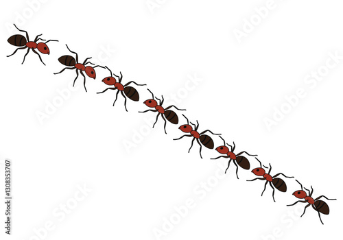 Ants marching clipart. This image shows a line of red and black ants marching in a diagonal line. Vector illustration design.