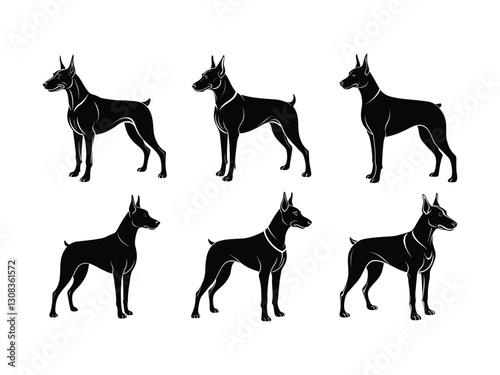 Doberman dog standing in different angles silhouette isolated on white background