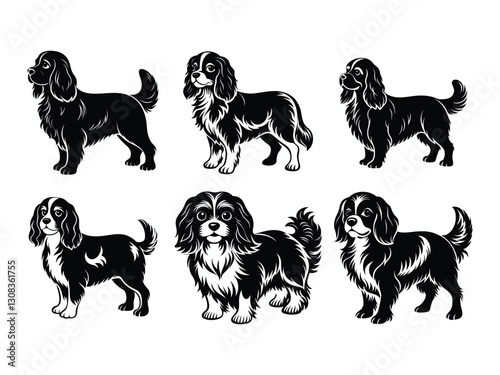Elegant Cavalier King Charles spaniel breed variations silhouette isolated on white background