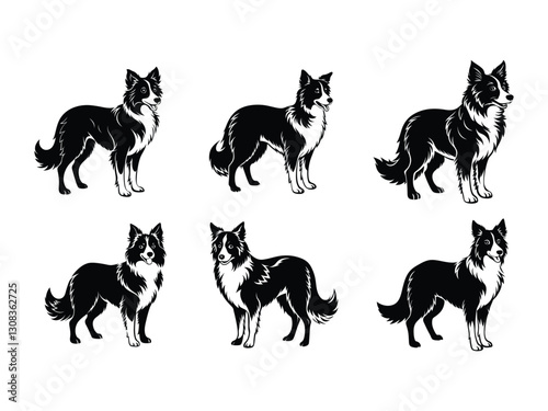 Border collie herding dog illustrations silhouette isolated on white background