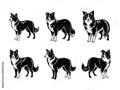 Border collie farm dog collection silhouette isolated on white background