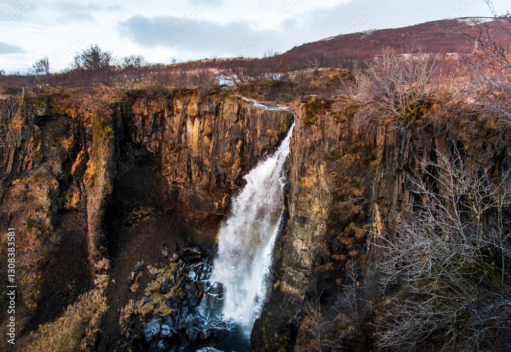 Svartifoss waterfall in Vatnajokull national park in Iceland aerial view