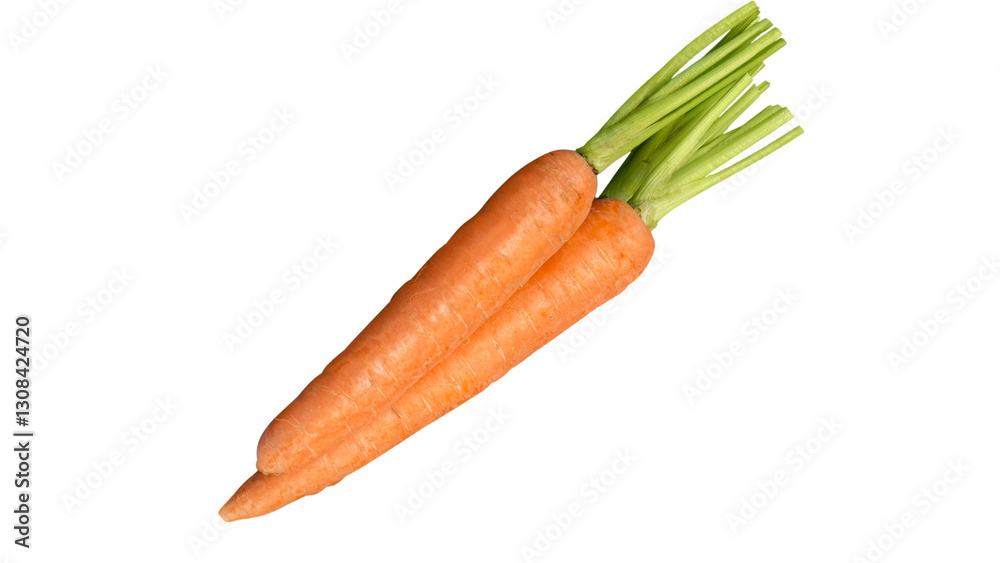 Two Fresh Carrots with Green Stems Isolated on Transparent Background Two Fresh Carrots with Green Stems Isolated on Transparent Background