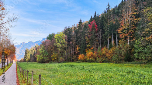 Scenic autumn road in Bavaria leading to Neuschwanstein and Hohenschwangau Castles, surrounded by colorful trees, lush green meadows, and majestic mountains in a peaceful German countryside landscape