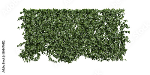 green grass background