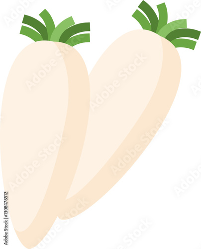 Raw Jicama Root Vegetable Illustration