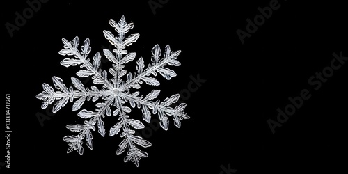 Obraz na płótnie A Stunning Snowflake's Delicate Design w salonie