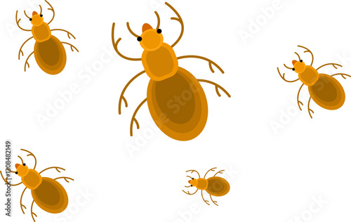 Cockroach