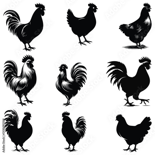 set of chicken