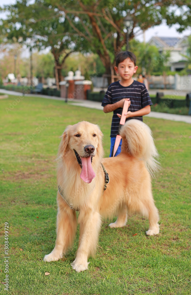 Portrait of Golden retriever and Asian boy standing on lawn in the garden. Focus at dog.