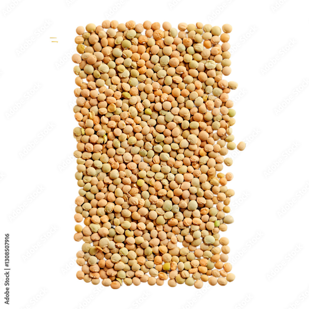 Vegetable Green Beans PNG cutout isolated on white and transparent background. green beans, vegetable PNG, fresh green beans, isolated green beans, transparent background vegetables, Vegetable Green Beans PNG cutout isolated on white and transparent background. green beans, vegetable PNG, fresh green beans, isolated green beans, transparent background vegetables,