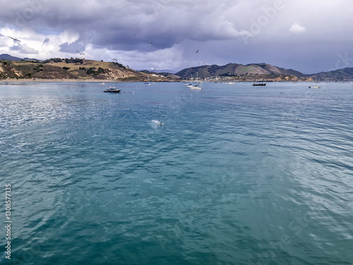 Coast of the Pacific Ocean, California in the USA.