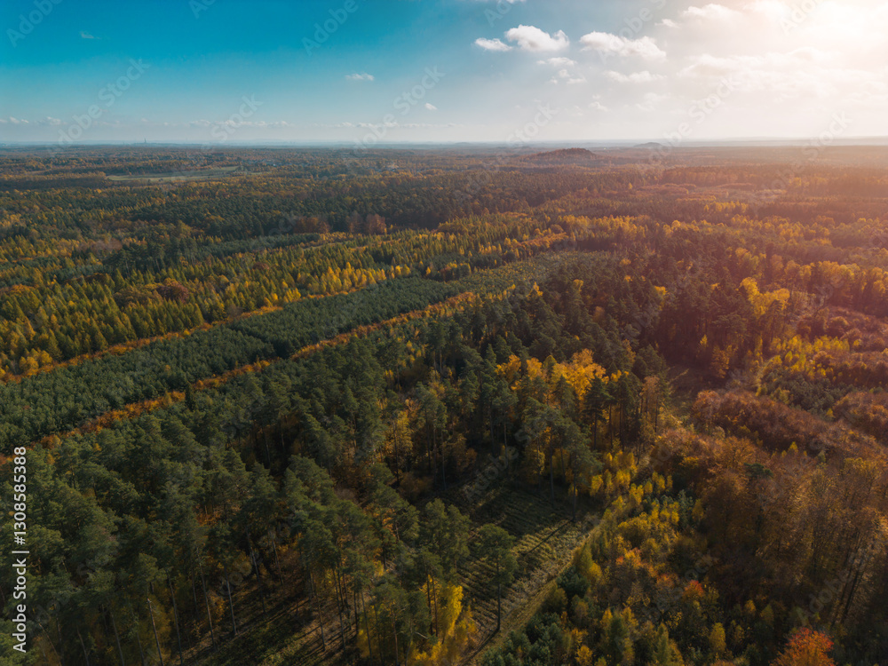 Fototapeta premium Aerial view of colorful autumn forest landscape